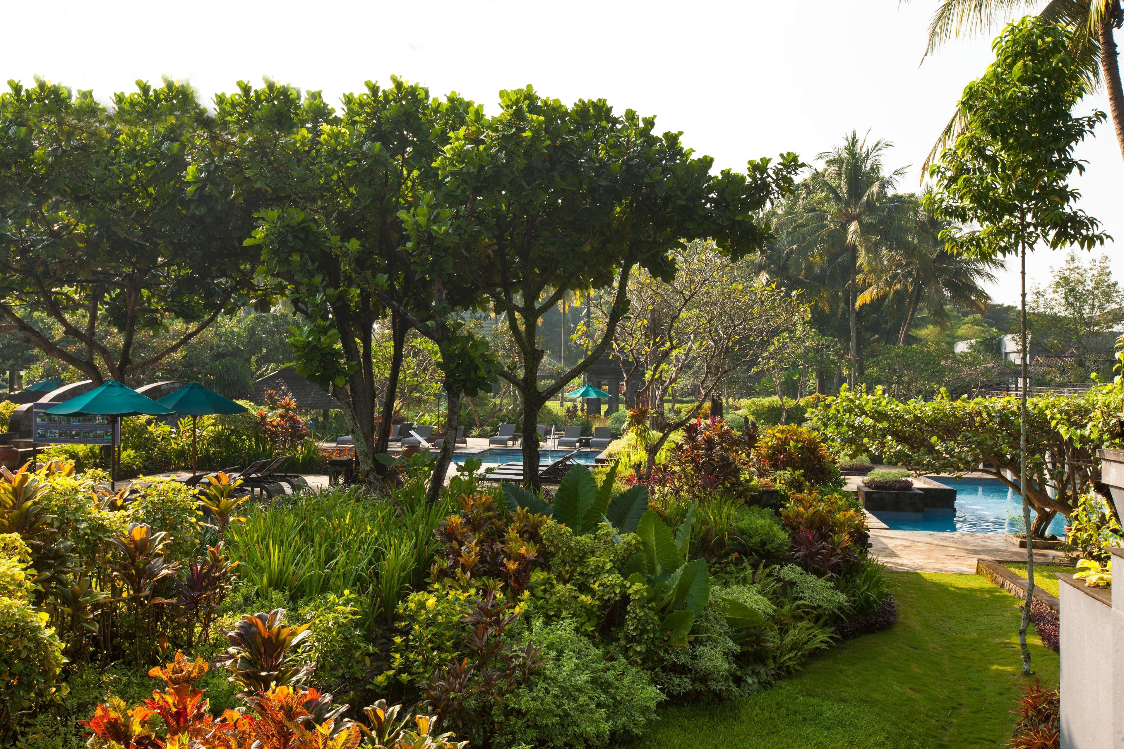 Hotel Hyatt Regency Yogyakarta Sleman (Yogyakarta)